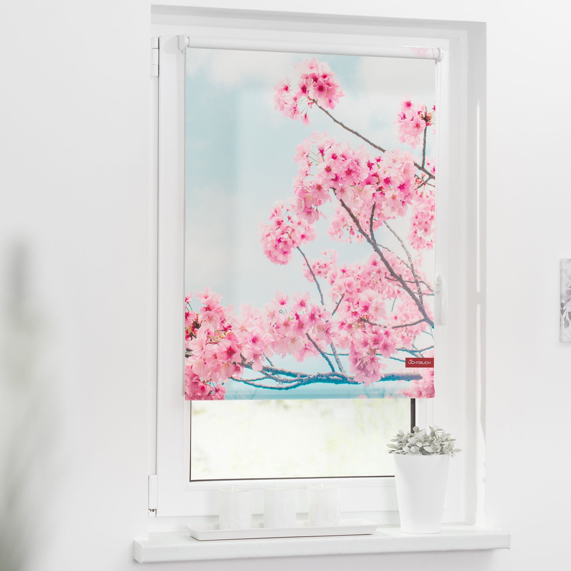 Schöne Motiv-Rollos von Fensterwelten (100 cm x 150 cm) | CHANNEL21